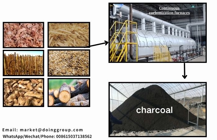 Carbonization raw materials and products